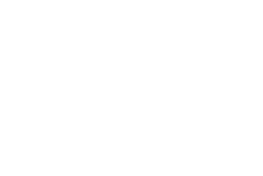 Prime 305 Wellness logo